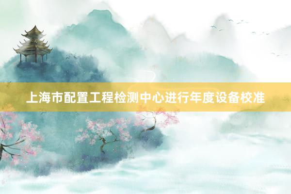 上海市配置工程检测中心进行年度设备校准