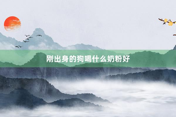 刚出身的狗喝什么奶粉好