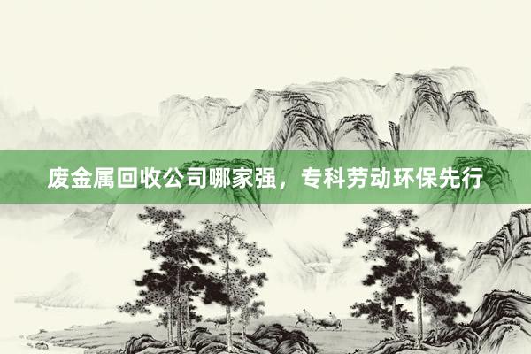 废金属回收公司哪家强，专科劳动环保先行