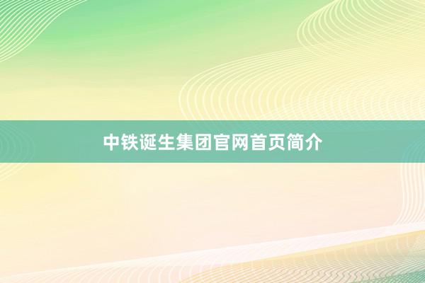 中铁诞生集团官网首页简介
