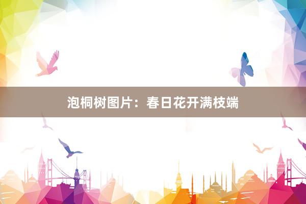 泡桐树图片：春日花开满枝端
