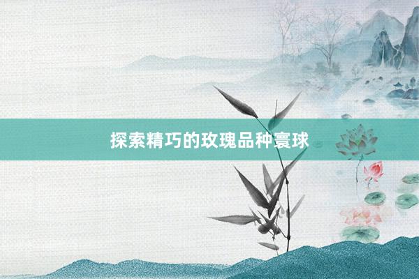 探索精巧的玫瑰品种寰球